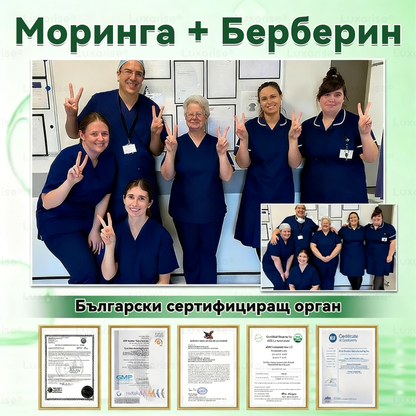Официален магазин  | H𝐞a𝐥r𝐢z𝐞® 🚚 Моринга X Берберин 12-In-1 Напреднал Нано Микроигли Пластир (Един път на ден, видими промени за 7 дни）✅ Ожиряване, диабет, сънна апнея и проблеми със ставите.💛💙
